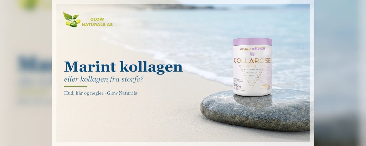 Marint kollagen eller kollagen fra storfe? Collarose Fish-boks på en glatt strandstein ved sjøen i mykt dagslys.