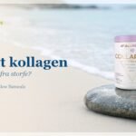 Marint kollagen eller kollagen fra storfe? Collarose Fish-boks på en glatt strandstein ved sjøen i mykt dagslys.