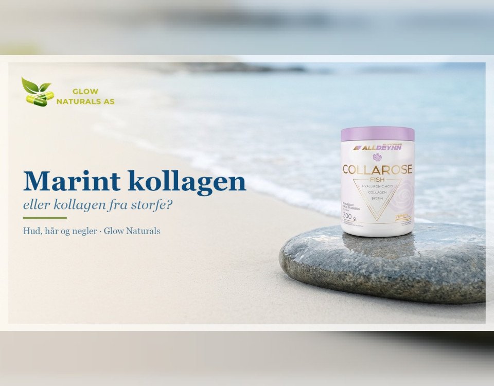 Marint kollagen eller kollagen fra storfe? Collarose Fish-boks på en glatt strandstein ved sjøen i mykt dagslys.