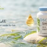 Vegansk omega-3 fra alger på en stein i klart sjøvann
