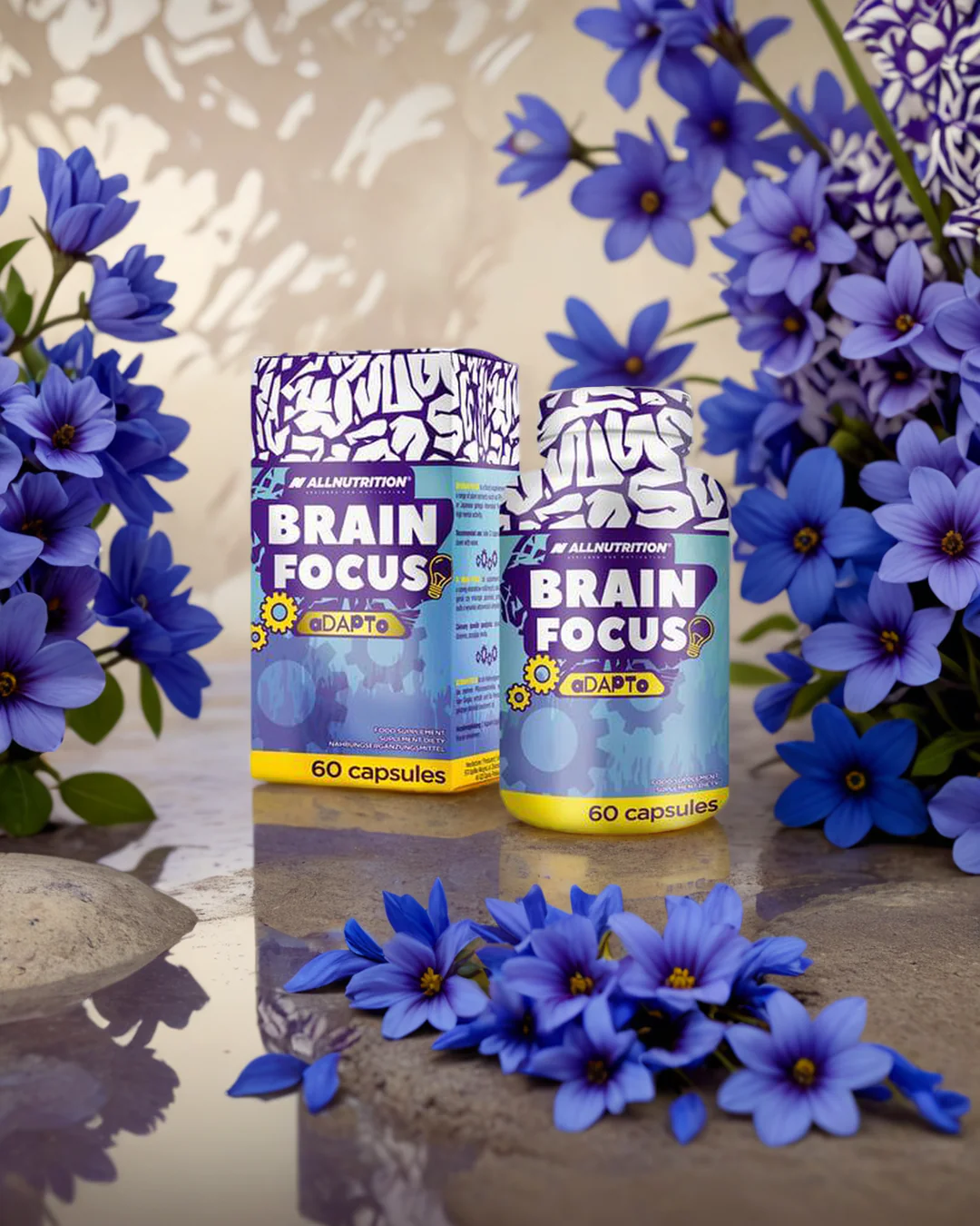 Hukommelse kapsler Brain Focus nootropisk kompleks 60 kapsler